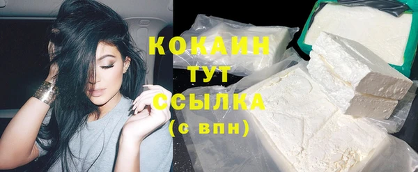 мяу мяу мука Гусь-Хрустальный