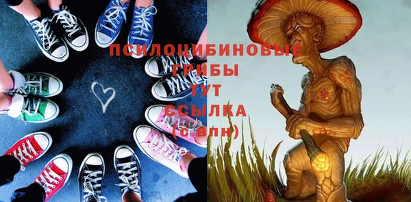 спиды Гусев