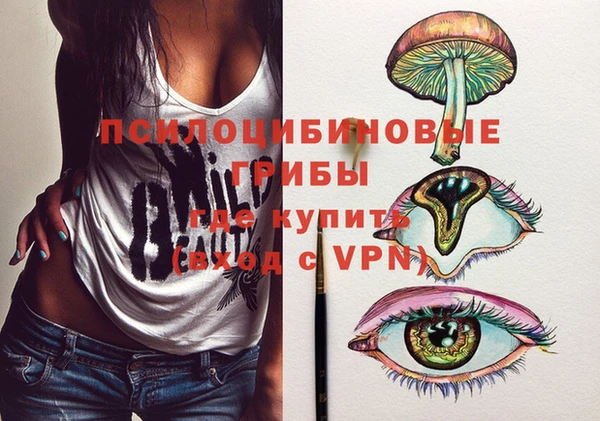мяу мяу мука Гусь-Хрустальный