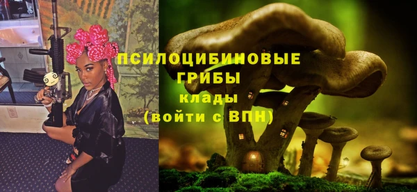 спиды Гусев