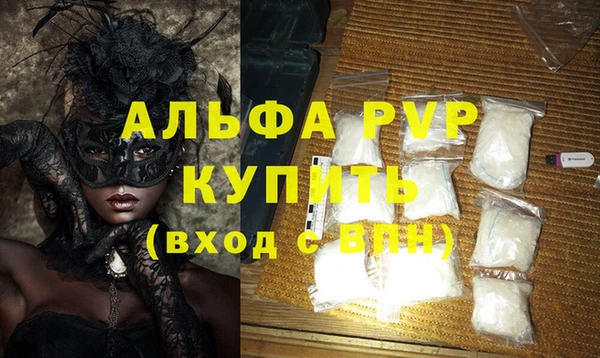 спиды Гусев