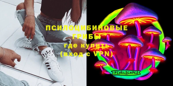 мяу мяу мука Гусь-Хрустальный
