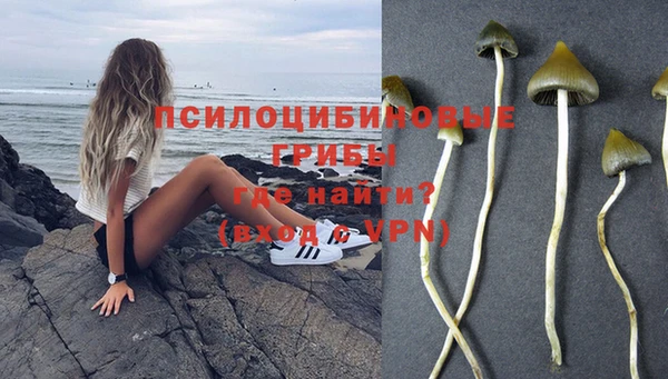 спиды Гусев