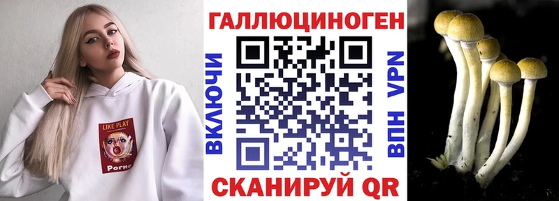 Купить где  Нижнеудинск  Псилоцибиновые грибы мухоморы 